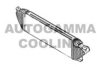 AUTOGAMMA 107338 Intercooler, charger
